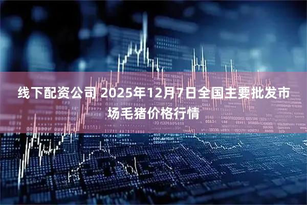 线下配资公司 2025年12月7日全国主要批发市场毛猪价格行情