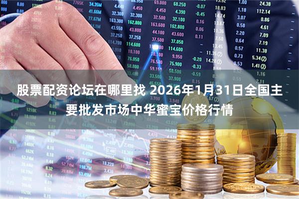 股票配资论坛在哪里找 2026年1月31日全国主要批发市场中华蜜宝价格行情