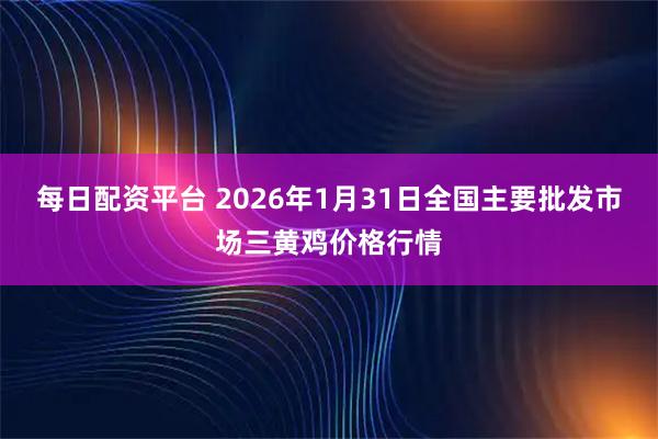 每日配资平台 2026年1月31日全国主要批发市场三黄鸡价格行情