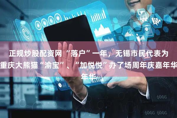 正规炒股配资网 “落户”一年，无锡市民代表为重庆大熊猫“渝宝”、“加悦悦”办了场周年庆嘉年华