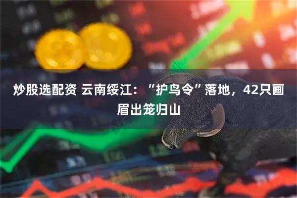 炒股选配资 云南绥江：“护鸟令”落地，42只画眉出笼归山