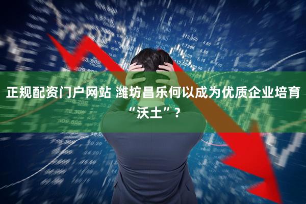 正规配资门户网站 潍坊昌乐何以成为优质企业培育“沃土”？