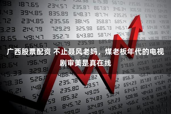 广西股票配资 不止聂风老妈，煤老板年代的电视剧审美是真在线